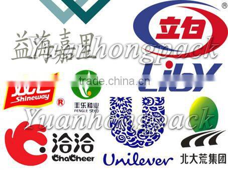 GFP1S1 high quality Sachets Into woven Big Bag Packing Machine