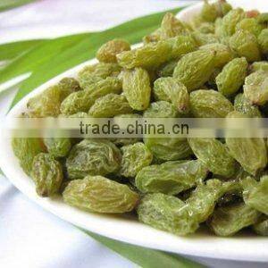 dried fruit green raisin sultana golden raisn
