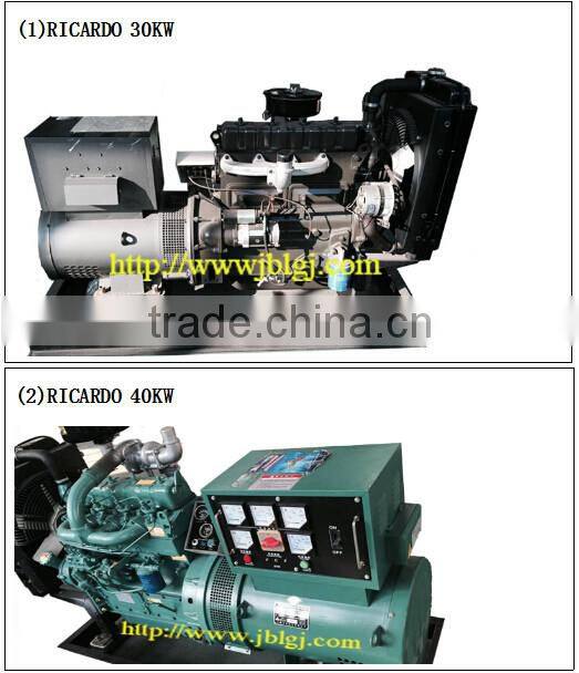 weifang 4100 ricardo generator set with good quality for sell