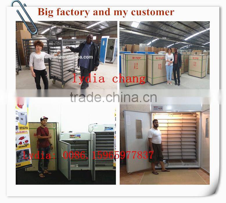 plastic poultry transport crate/chicken transport box lydia chang 0086.15965977837