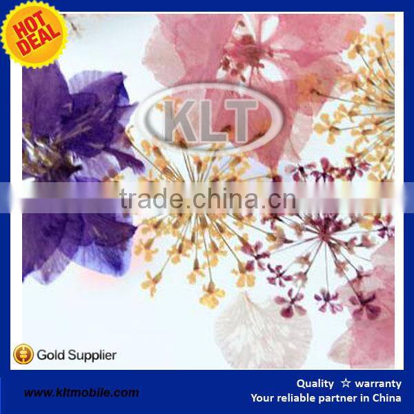 KLT Dry pressed natural real flower phone case for iphone 6s