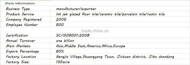 bathroom tile 3d ceramic floor tile zibo