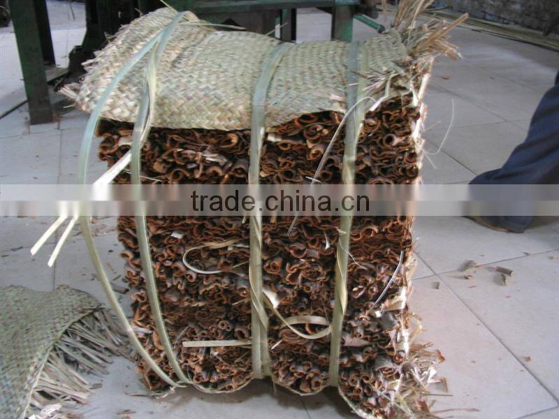 China Brand New Broken Cassia Cinnamon