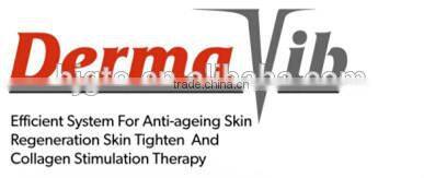 2015 NEW microneedle BIO LED derma roller