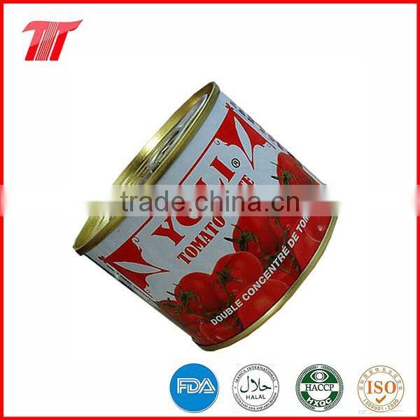 Double Concentrated Sachet Tomato Paste OF YOLI Brand with Low Price