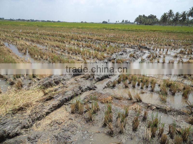 Wheat&Rice Combine Harvester