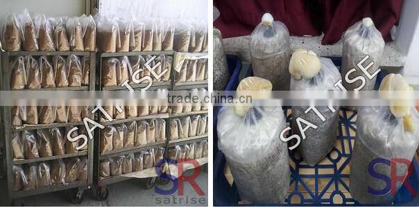 Mushroom Grow Bags basket plastic crate For Mushroom Cultivation