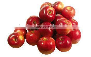 vegetable and fruit washing machine/home vegetable washing machine/vegetable washing machine