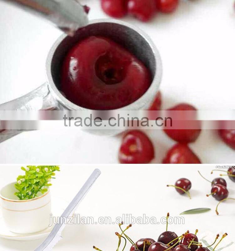 YS-8 manual garlic extract