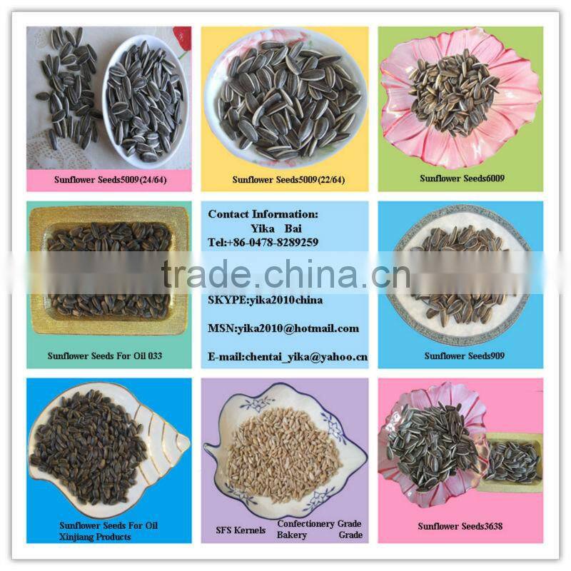 Promotion :Round Type Sunflower Seed Top Quality 1121,909 low price