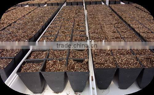 growing media vermiculite in Nursery potting mix