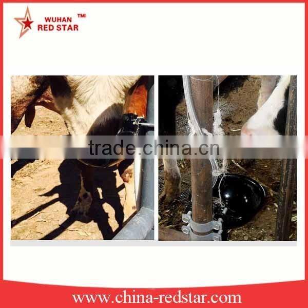 Automatic Horse Water Bowl For Cattle