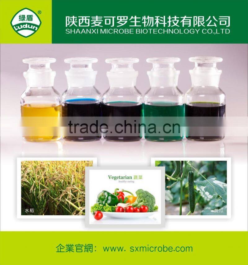 Hot pesticide/fungicide kasugamycin 4%SL