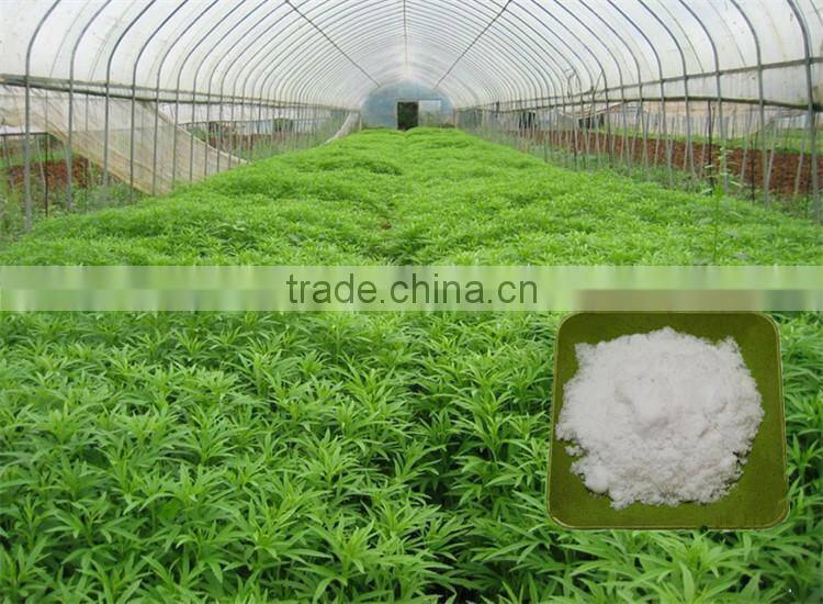 Eco-friendly use npk blue granular compound fertilizer