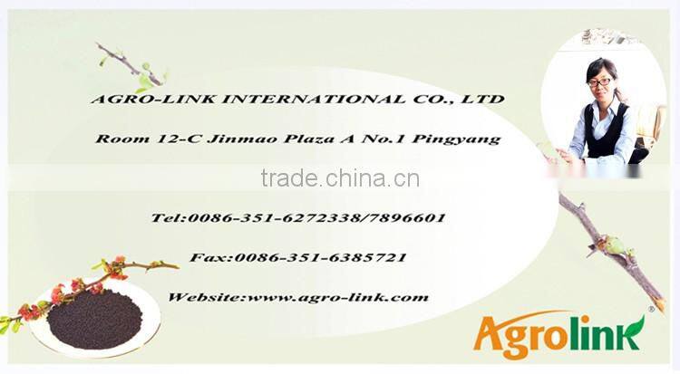 Seaweed Fertilizer Ascophyllum Nodosum Seaweed Extract Powder