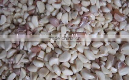 Belt Type CCD Camera Color Sorter for Garlic 086 371 65866393