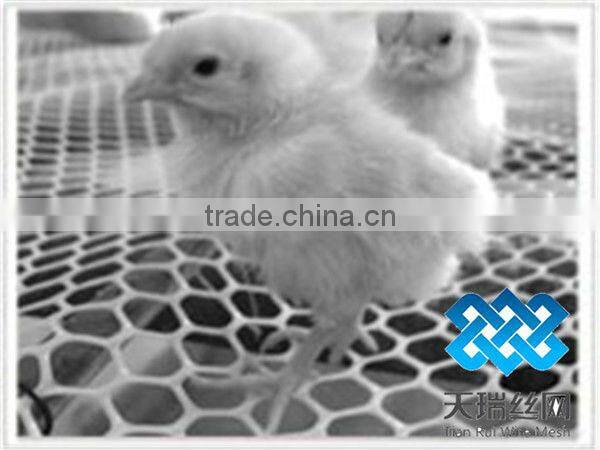 green Plastic Flat Net/PE flat netting/Plastic fencing mesh