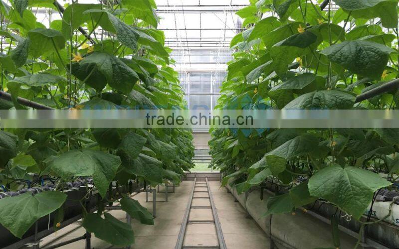 Double Layer Inflated Film Greenhouse