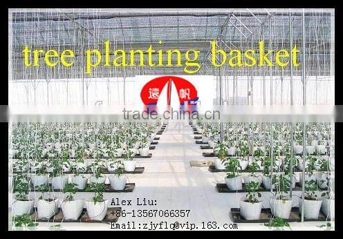 100% PP spunbond non-woven fabric used for non woven Seedling bag