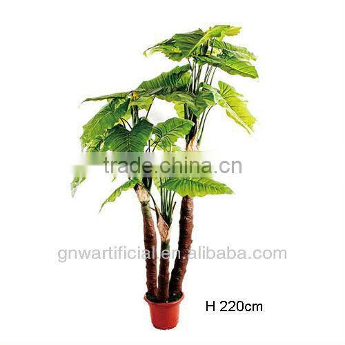 G50 GNW Artificial plants indoor office