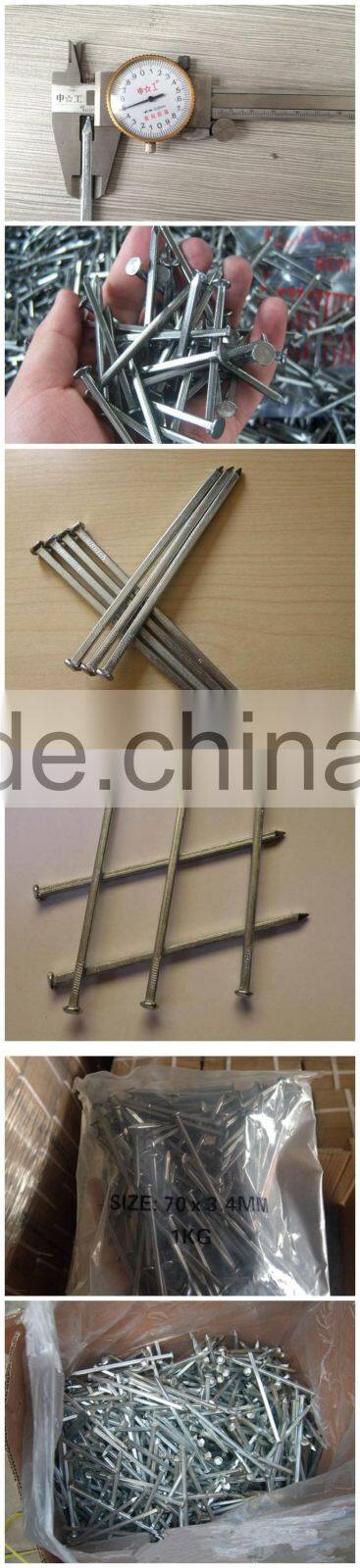 Galvanized Nails/Square Shank Boat Nails