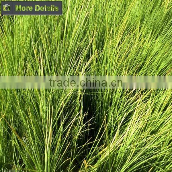 Nearly Natural 80cm artificial onion grass potted grass plants