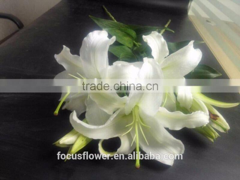 Supply special cut fresh white lily with high quality
