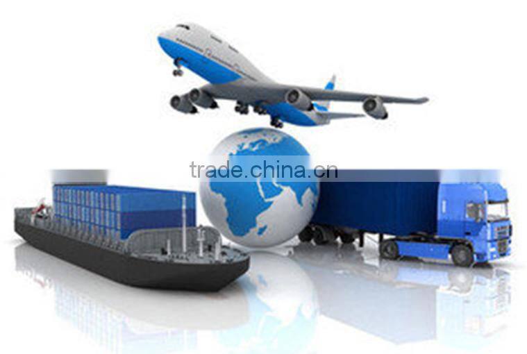 China Custom Plastic Collar Butterfly For Shirt Garment Accessories