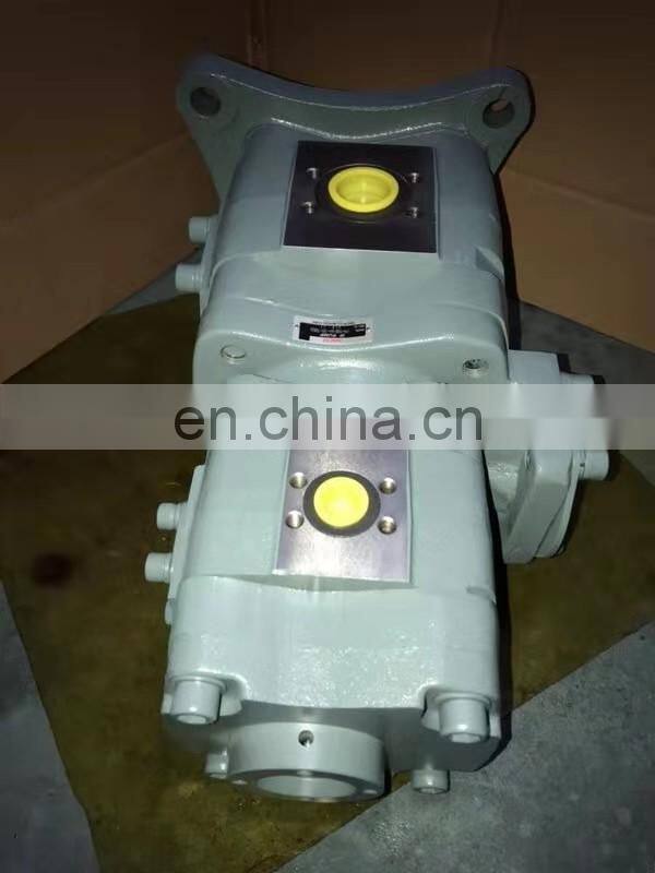 Trade assurance replace NACHI hydraulic pump IPH-56A-50-100-EZ-3624H