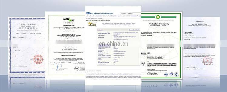 shenzhen gsd tech co. ltd co2 fractional laser machine