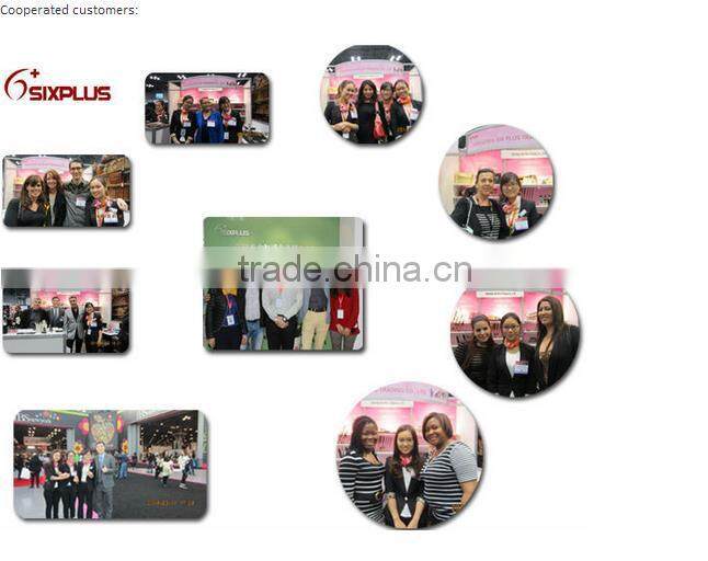 Golden Brush Custom Logo Makeup Cosmetics Brush Set 11 Pieces