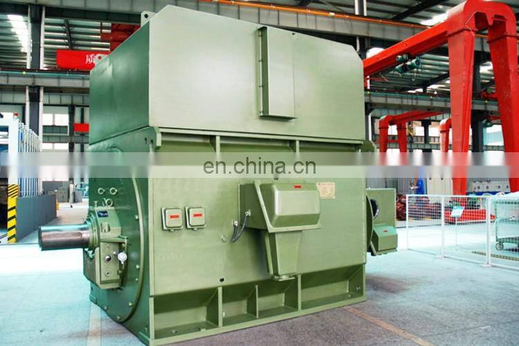 11KV high voltage three phase induction motor