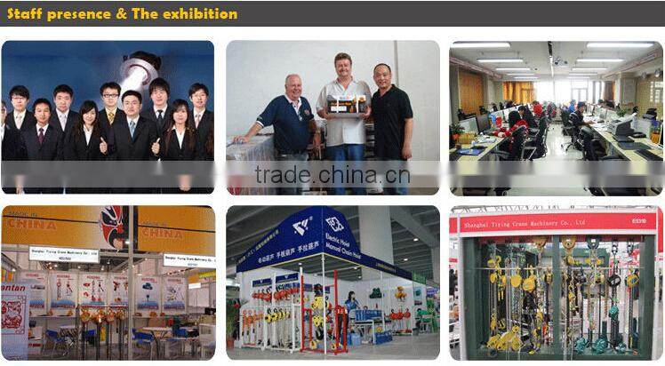 0.1T to 1 T Mini electric hoist,mini electric chain hoist with trolley,hoist lift, small elelctric winch