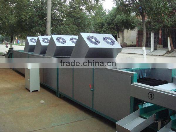 Good quality tomato cleaning waxing drying and grading machine