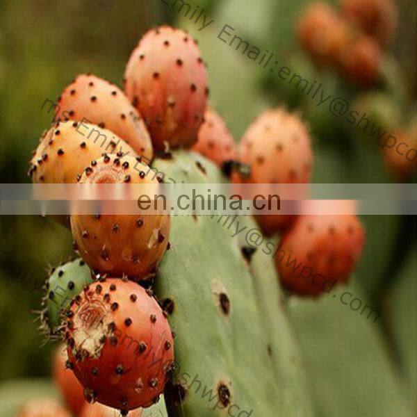 Passion Fruit Pulping Pulper Mango Apple Jam Making Machine Tomato Paste Processing Machine Price