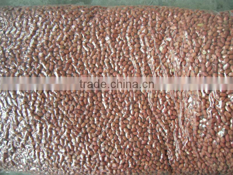 Shandong origin different size peanuts kernel for sale with lowest price