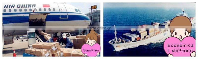 2014 new hot Auto Tracking High Speed Dome Analog mini Camera