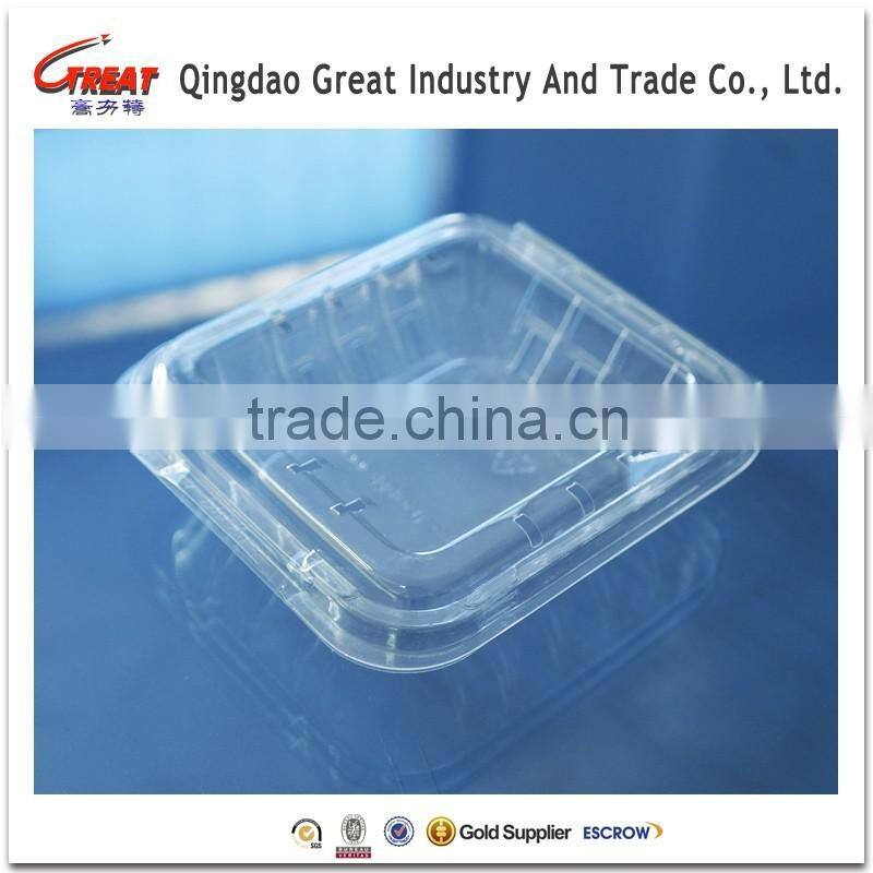 New Products for Sale Fresh Blueberry Plastic Containers