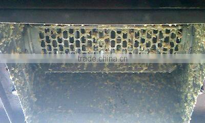 carrot Garlic crusher