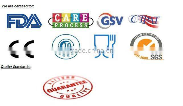 Ceramic sea shell vase