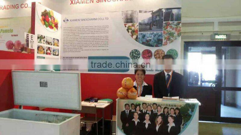 Frozen Kosher Tilapia Fillet