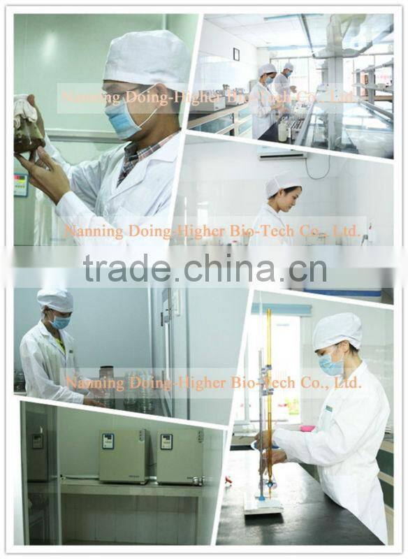China factory professional produce bromelain enzyme