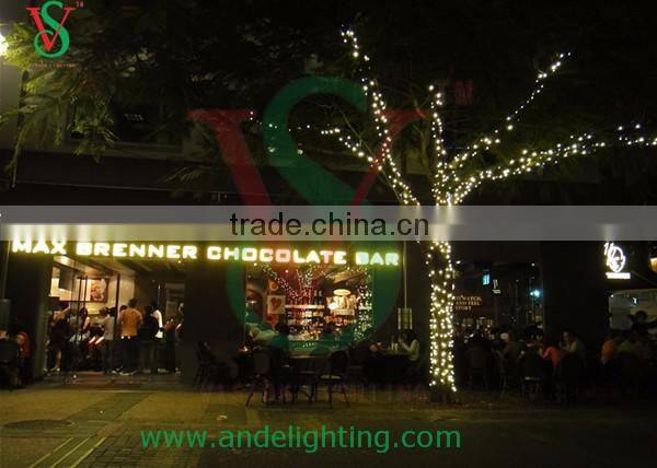 Christmas light string led clip light /led 12v lights