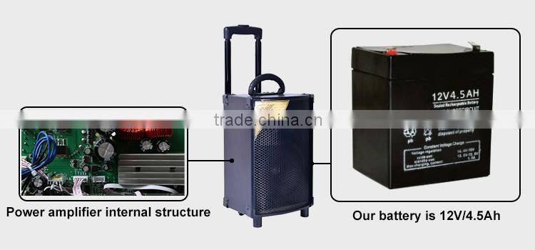 Active Professional PA Speaker DJ Woofer Sound System Portable Rechargeable Speaker