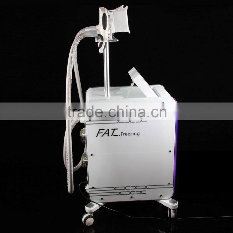 2016 hot sale Double Handpiece Cooling Operation Fat Freeze Weight Loss