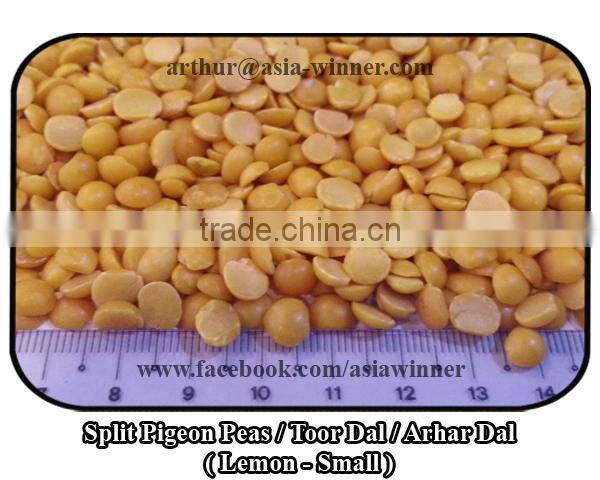 Toor Dal / Split Pigeon Peas / Arhar Dal / Cajanus cajan (Red Ruby)