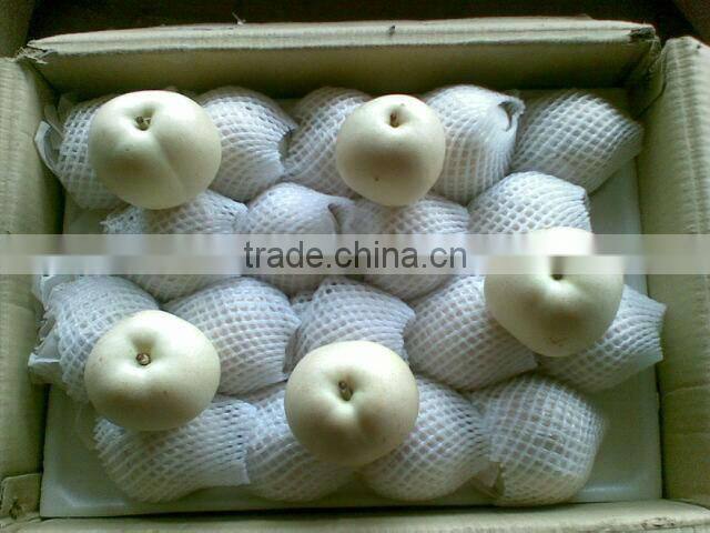 China fresh emerald pear with cheap price and good quality