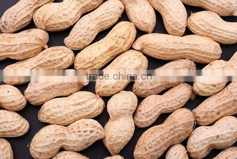 Chinese New Crop Raw Peanut Kernels