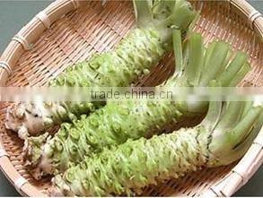 Wasabi Sprinkle made in Japan