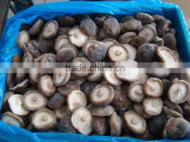 Frozen Shiitake mushroom